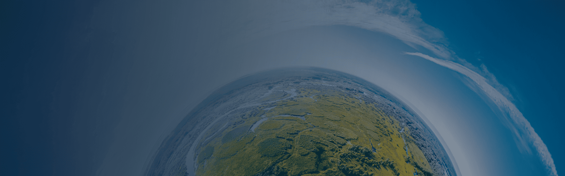 Driving a Greener Tomorrow