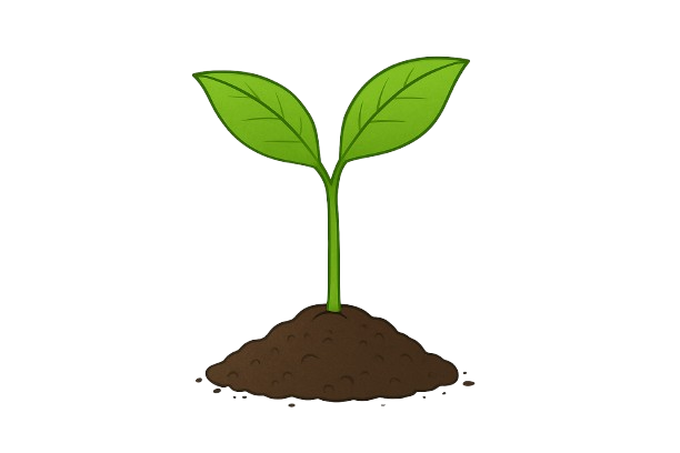 Maintenance and Support